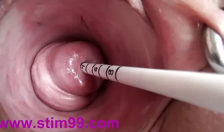 Sasha Creampie性别与摄影师