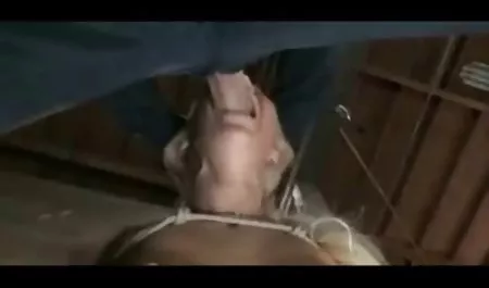 性感大山雀深色的常设体内射精